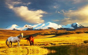 Tour alla scoperta dell'antico impero di Gengis Khan