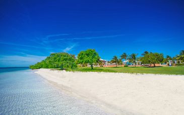 Blau Privilege Cayo Libertad 5*