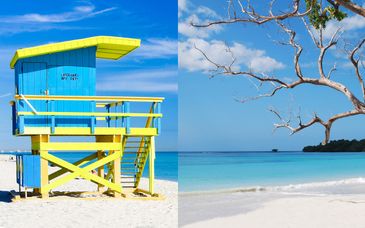 Hotel Breakwater South Beach 4* + Royalton Negril 5*