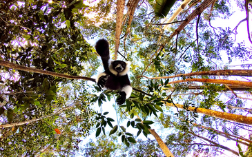 Tour alla scoperta del Madagascar tra natura e vulcani