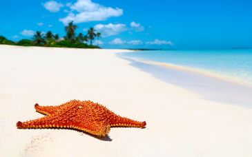 Hotel Nacional de Cuba L'Avana 4*S + Iberostar Bella Vista Varadero 5*