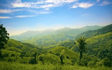 San José, Tortuguero, Arenal, Monteverde & Manuel Antonio