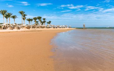 Baron Resort Sharm El Sheikh 5*