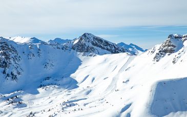 SOWELL Family Vars 4*