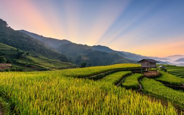 11-17 night private tour: Vietnam’s mountains & imperial bays