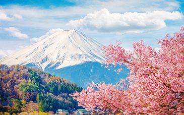 13-15 night group tour: Japan golden route