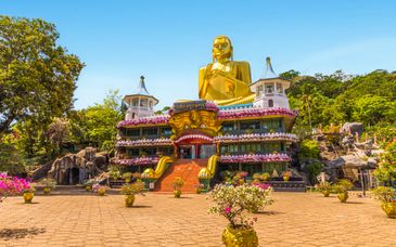 Private tour: 10 to 14 nights discovering Ceylon