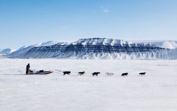 4-7 night stay: Magical holiday in Lapland