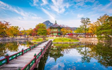12 - 14 night tour: Best of Japan & Korea