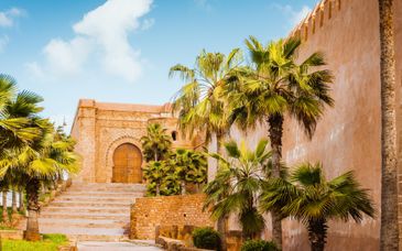 7-11 night group tour: Imperial cities & charming riads