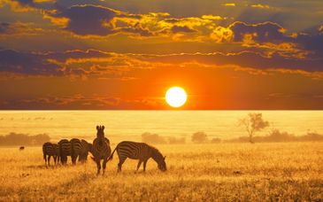 9 night tour: From Etosha to the Victoria Falls