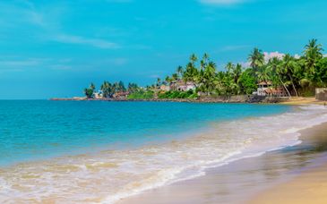 11-20 nights: Sri Lanka tour and stay in 5* hotel