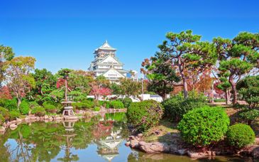 10-13 night self-guided tour: Whimsical Japan