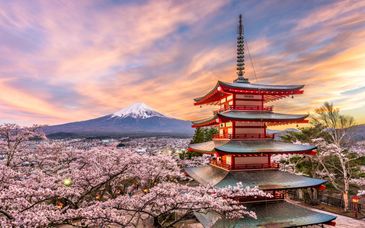 10-13 night self-guided tour: Fantastic Japan
