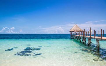Margaritaville Island Reserve Riviera Maya 5*
