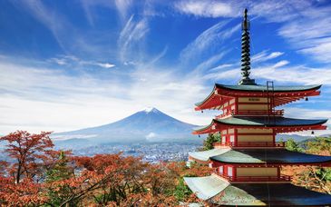 11-15 night tour: Mount Fuji and Japanese treasures