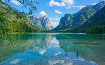 Duo: Hotel Portici 4* & Hotel Reipertingerhof