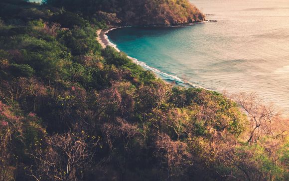 Ihre Ausflugsoptionen