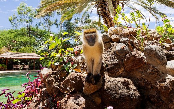 Für Ihren Komfort während der Safari