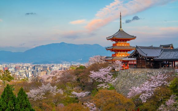 Ihre Rundreise im Detail