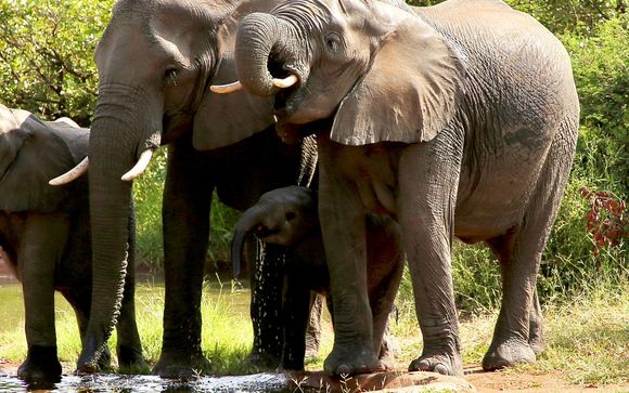 Programm in 10 Nächten 