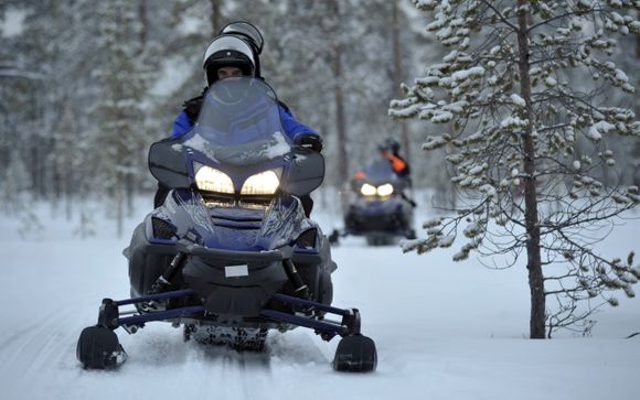 Ihre Nordlichterjagd mit dem Auto (3 Std.) & Nordlichterdinner in der Wildnis (ab 5 Nächten; ohne Getränke, 2-3 Std.)
