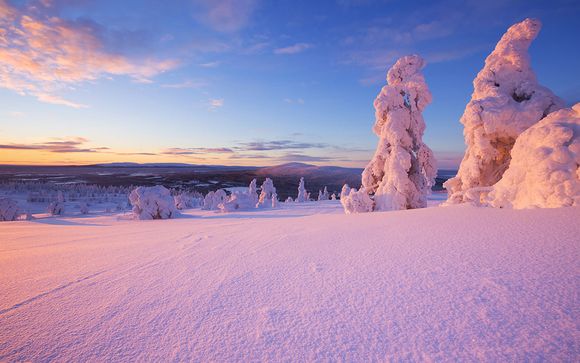 Ihre Huskyschlittenfahrt Siberian Safari (3 Std.)