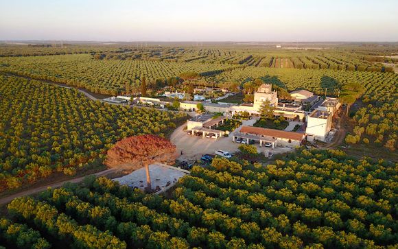 Tenuta Mazzetta