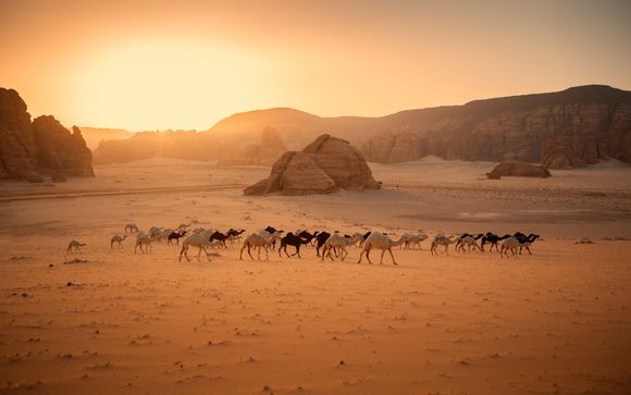 Willkommen in Dubai und Saudi Arabien
