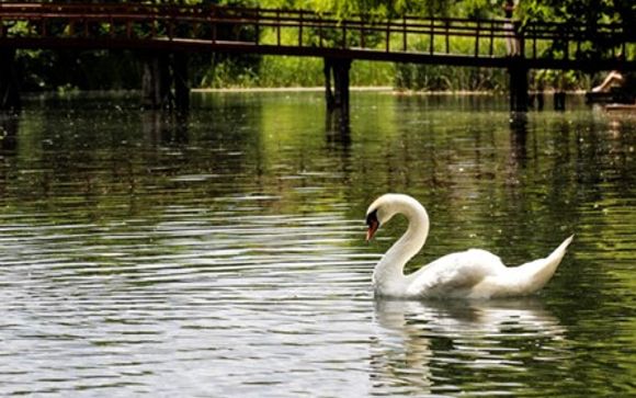 Ihre Rundreise im Detail