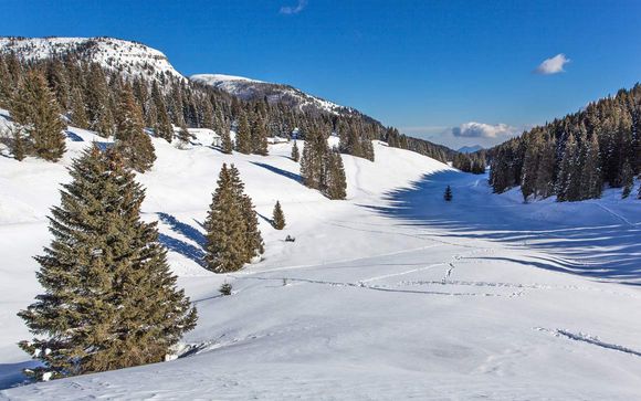 Das Skigebiet Schwemmalm