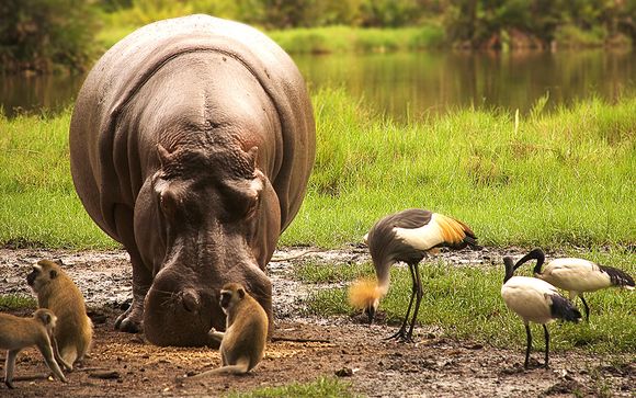 Ihre Safaris im Detail