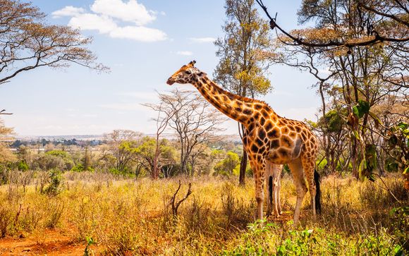 Erleben Sie spannende Safaris