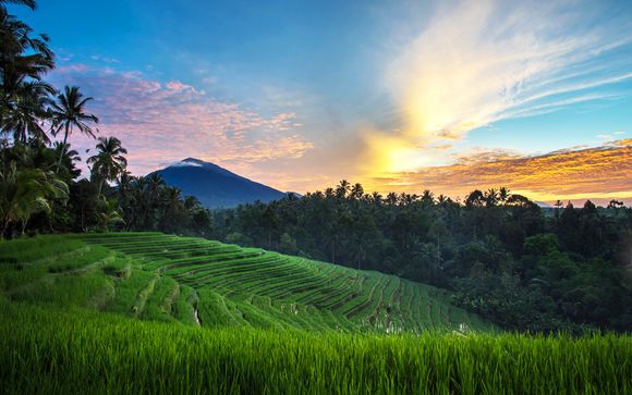 Willkommen auf... Bali!