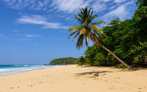 Willkommen in... Punta Cana!