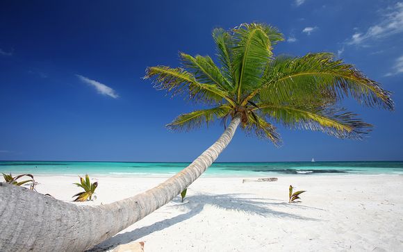 Willkommen in... Cancun!