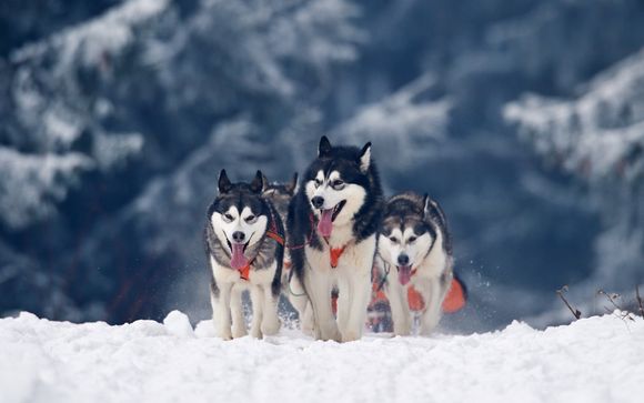 Mettez une option sur l