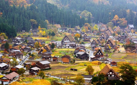 Zoom sur votre programme