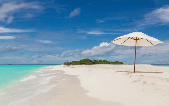 Mettez une option sur l