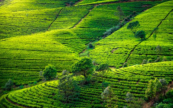 Zoom sur votre programme