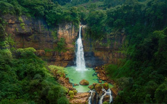 Mettez une option sur l