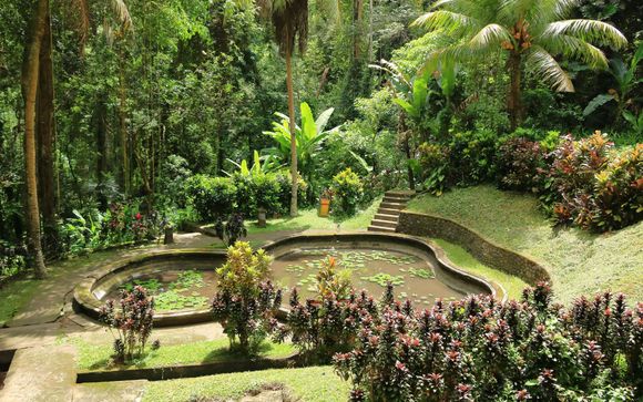 Mettez une option sur l