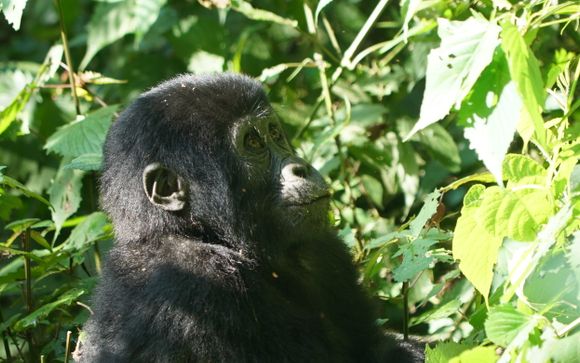 Votre circuit en un clin d'oeil