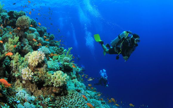 Mettez une option sur l