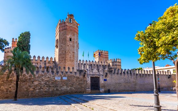 Zoom sur votre programme