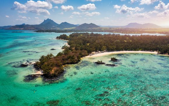 Mettez une option sur l