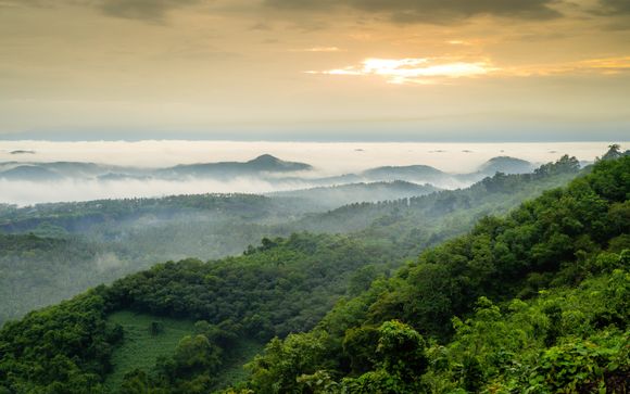 Zoom sur votre programme