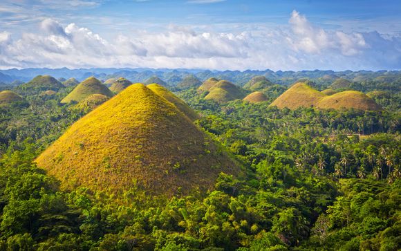 Zoom sur votre programme