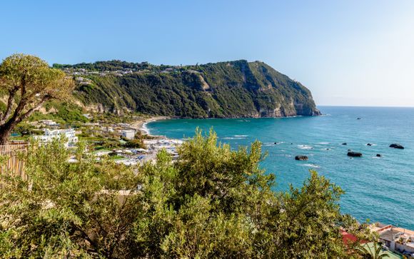 Vos excursions pour plus d