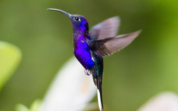 Mettez une option sur l